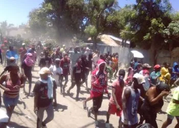 0924907c 7d0d 4b9d 8e9f 8d38a7c6c055 2 1.jpg