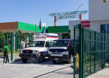 4943a521 2c26 47e1 A827 8508297d7259 2 1.jpg