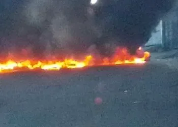 4a87d7cc E995 44ee 93ce A83184702b8b 2 1.jpg