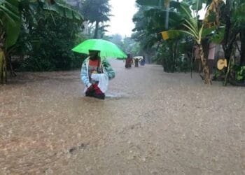 Ab39442f 17ce 46d5 8570 3ed509bb6f51 2 1.jpg